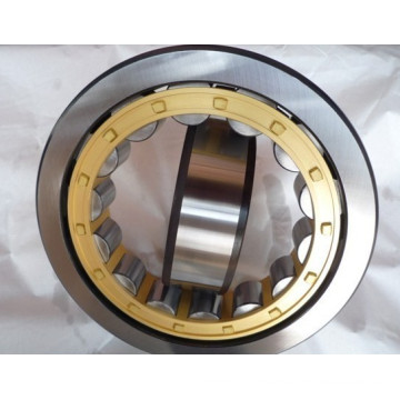 Cylindrical Roller Bearing NU1080 Bearing